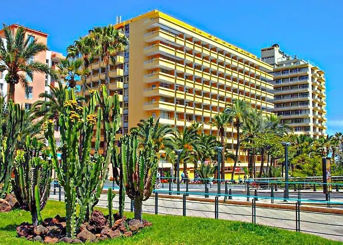 Amplio Estudio En Martianez Lägenhet Puerto de la Cruz (Tenerife)